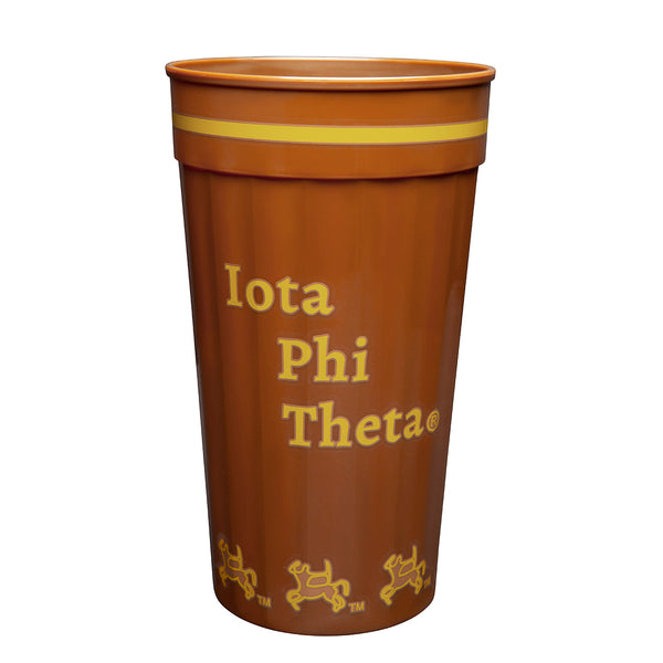 Iota Stadium Cup